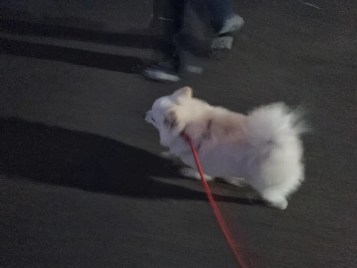 이미지 8