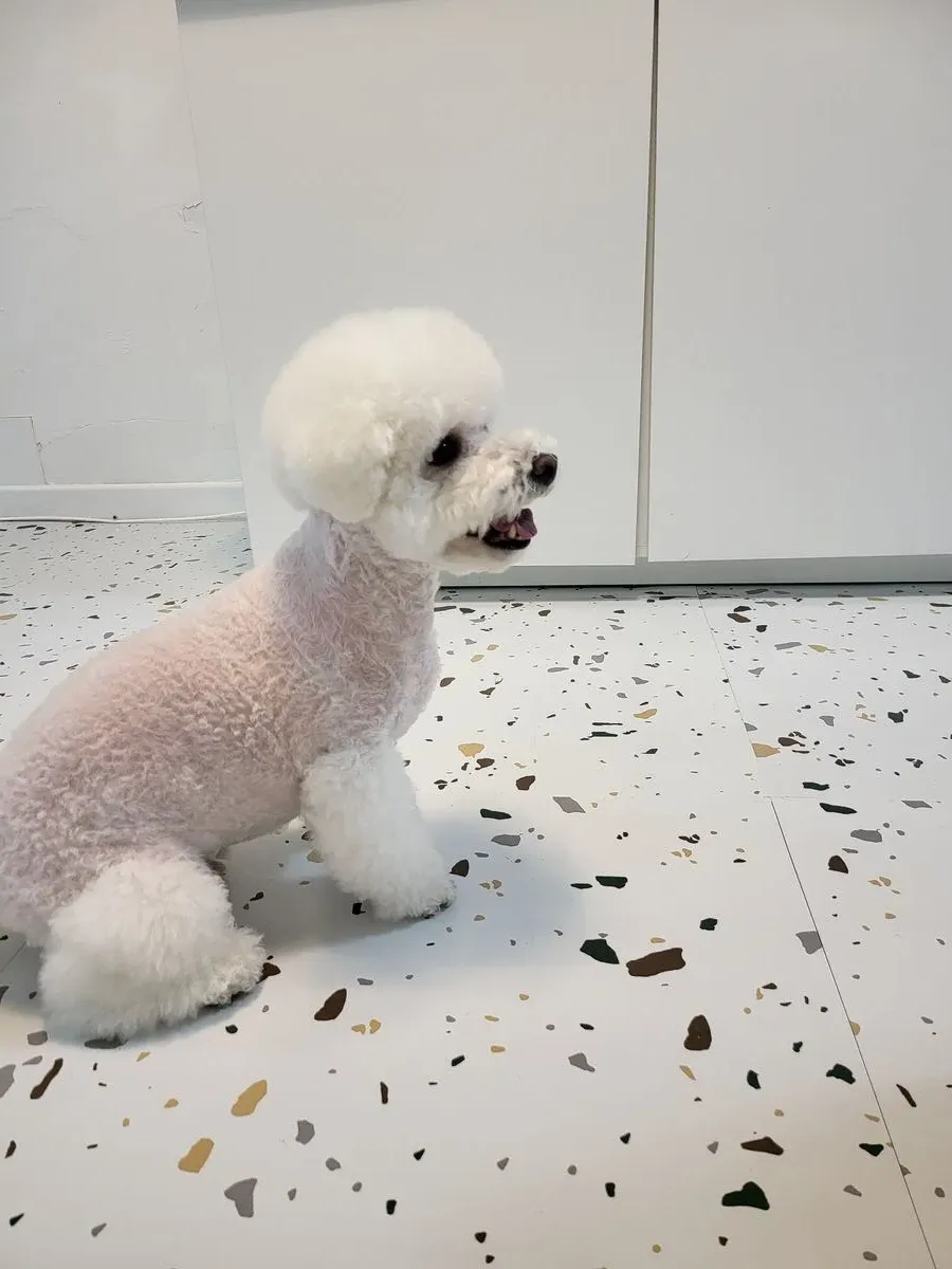 이미지 3