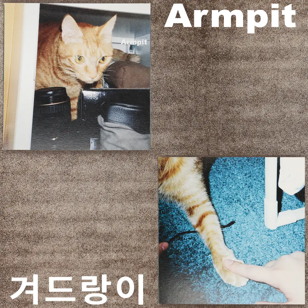 이미지 2