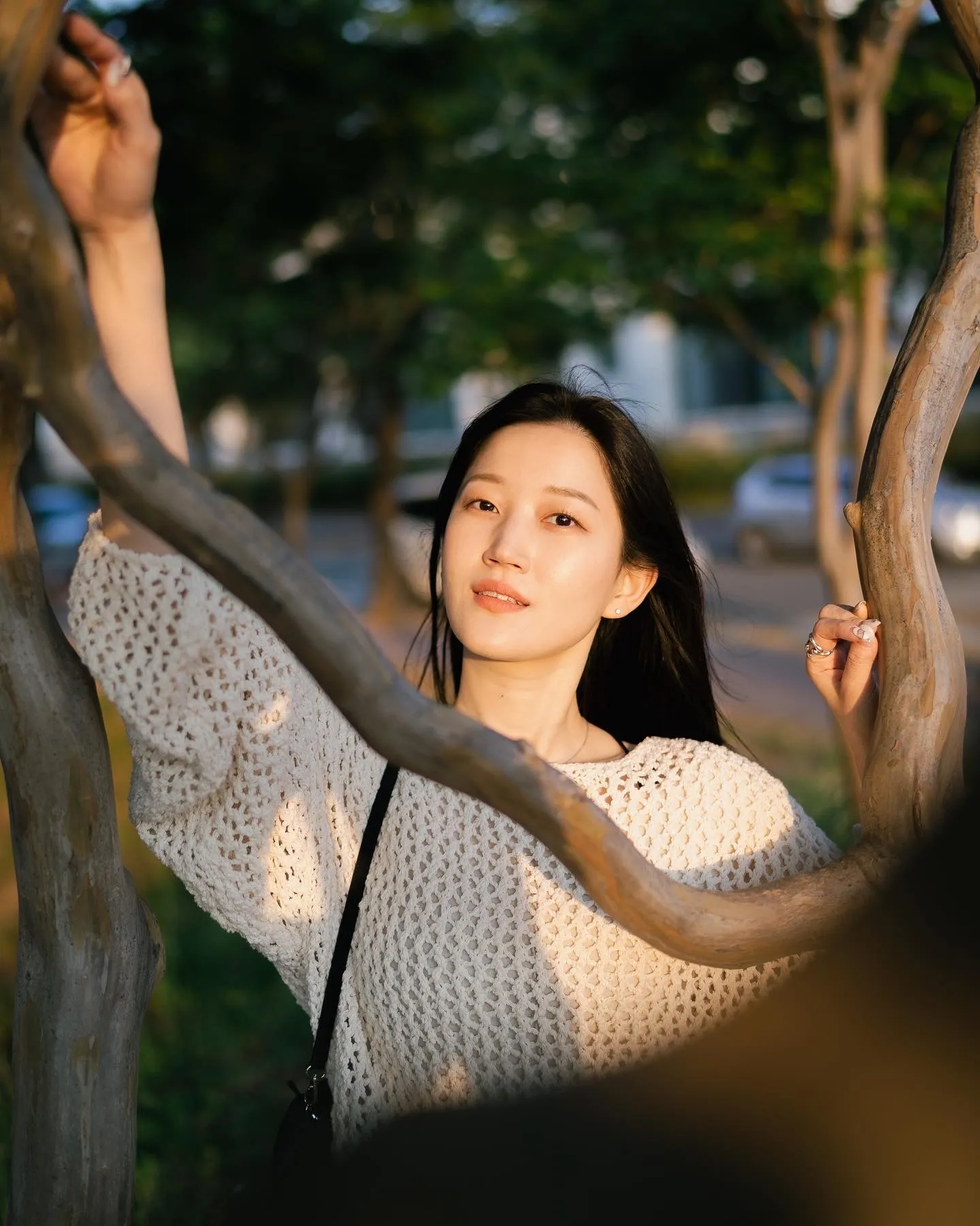 이미지 4