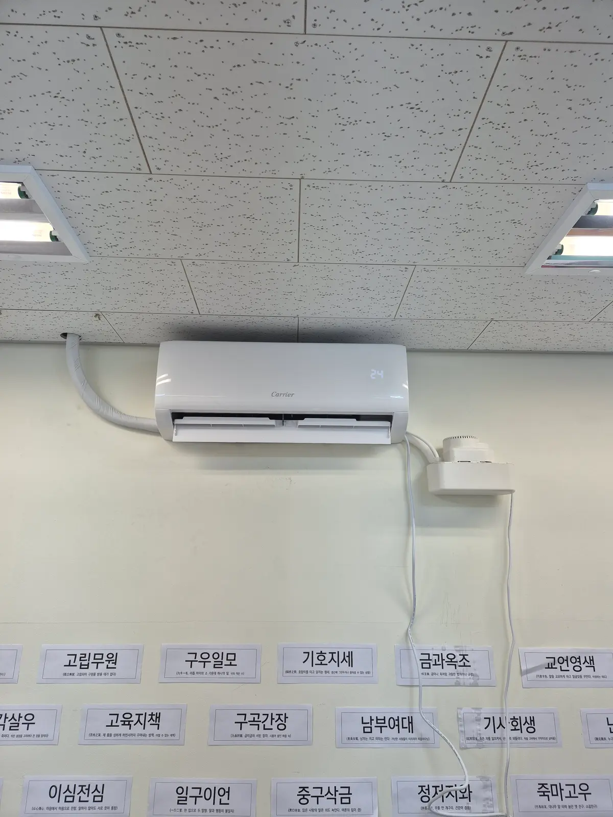 이미지 16