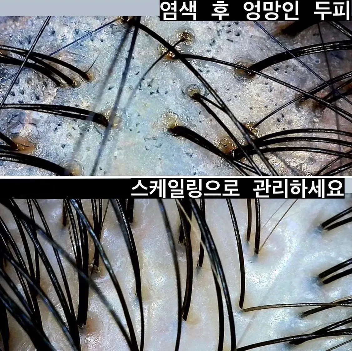 이미지 3