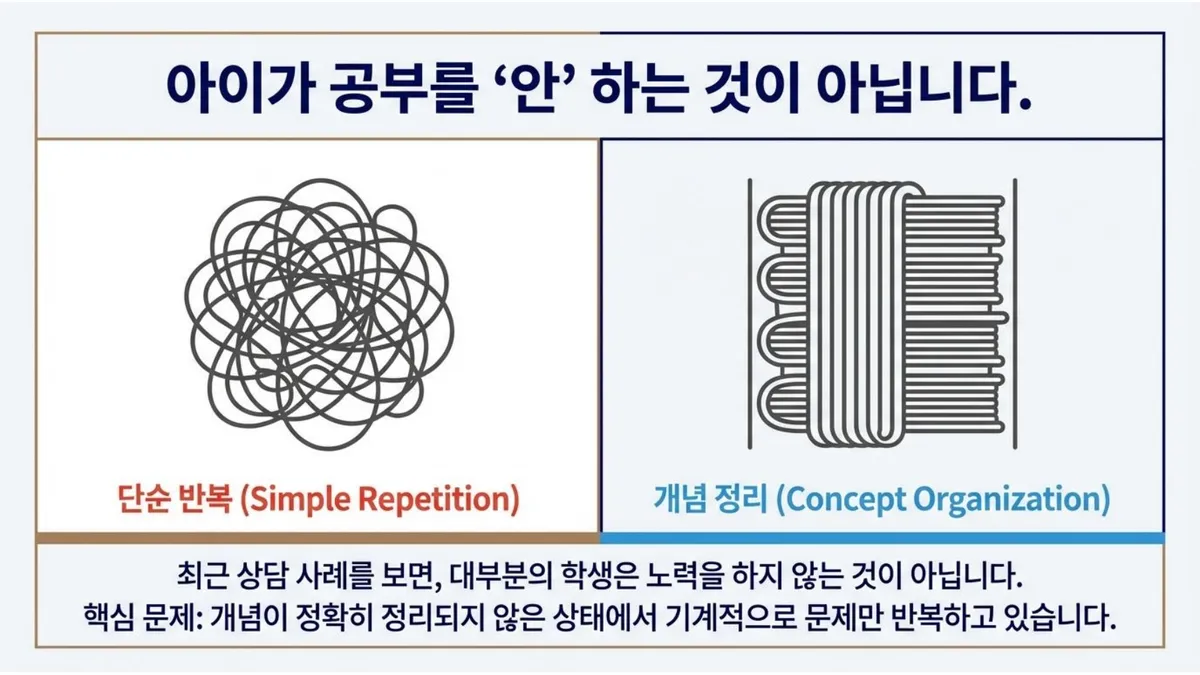 이미지 5