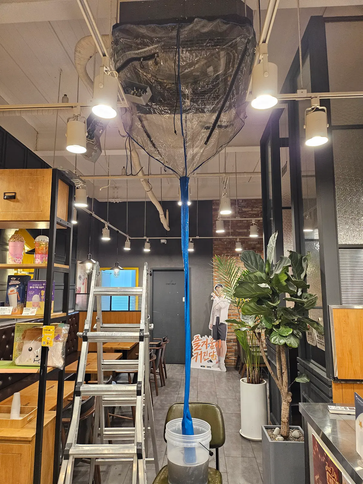이미지 8