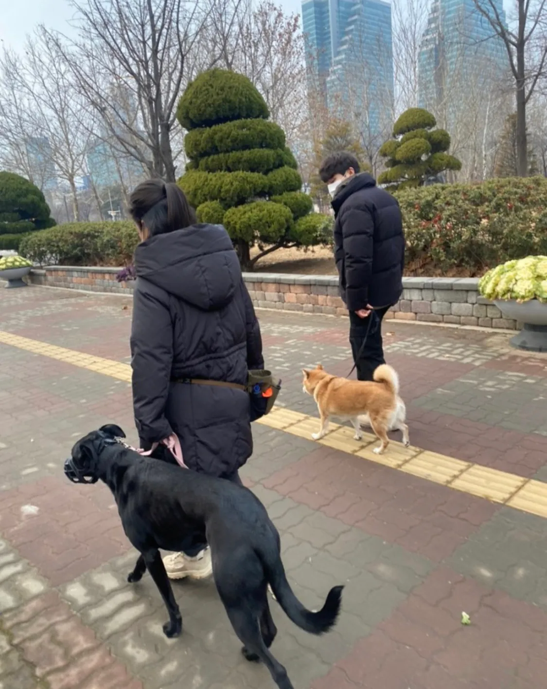 이미지 3