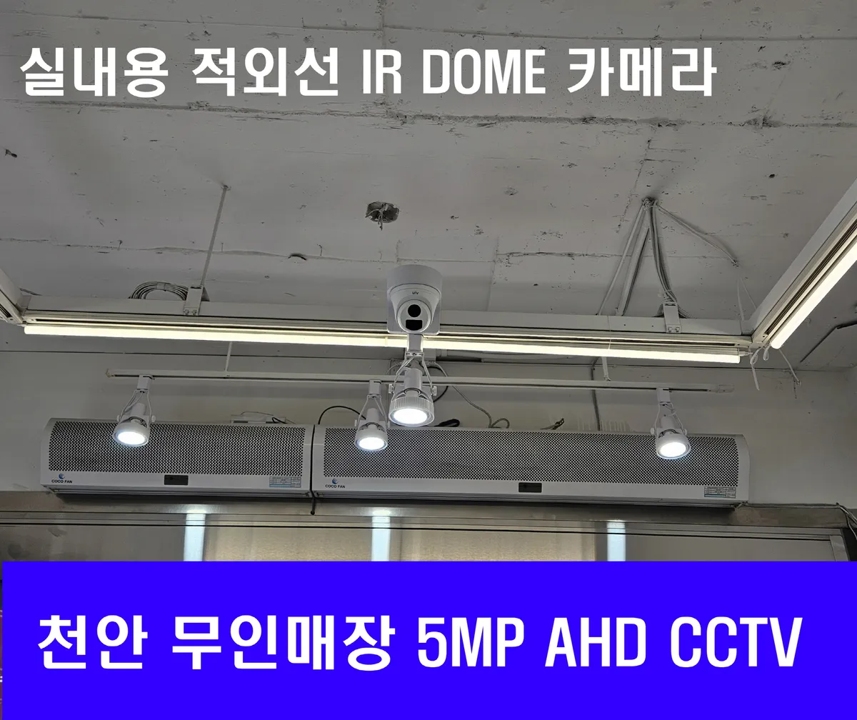 이미지 7
