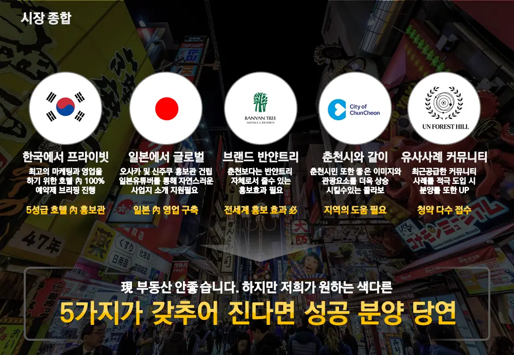 이미지 12