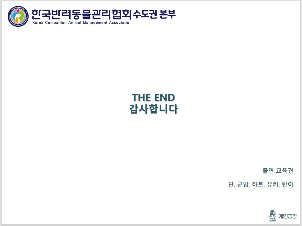 이미지 12