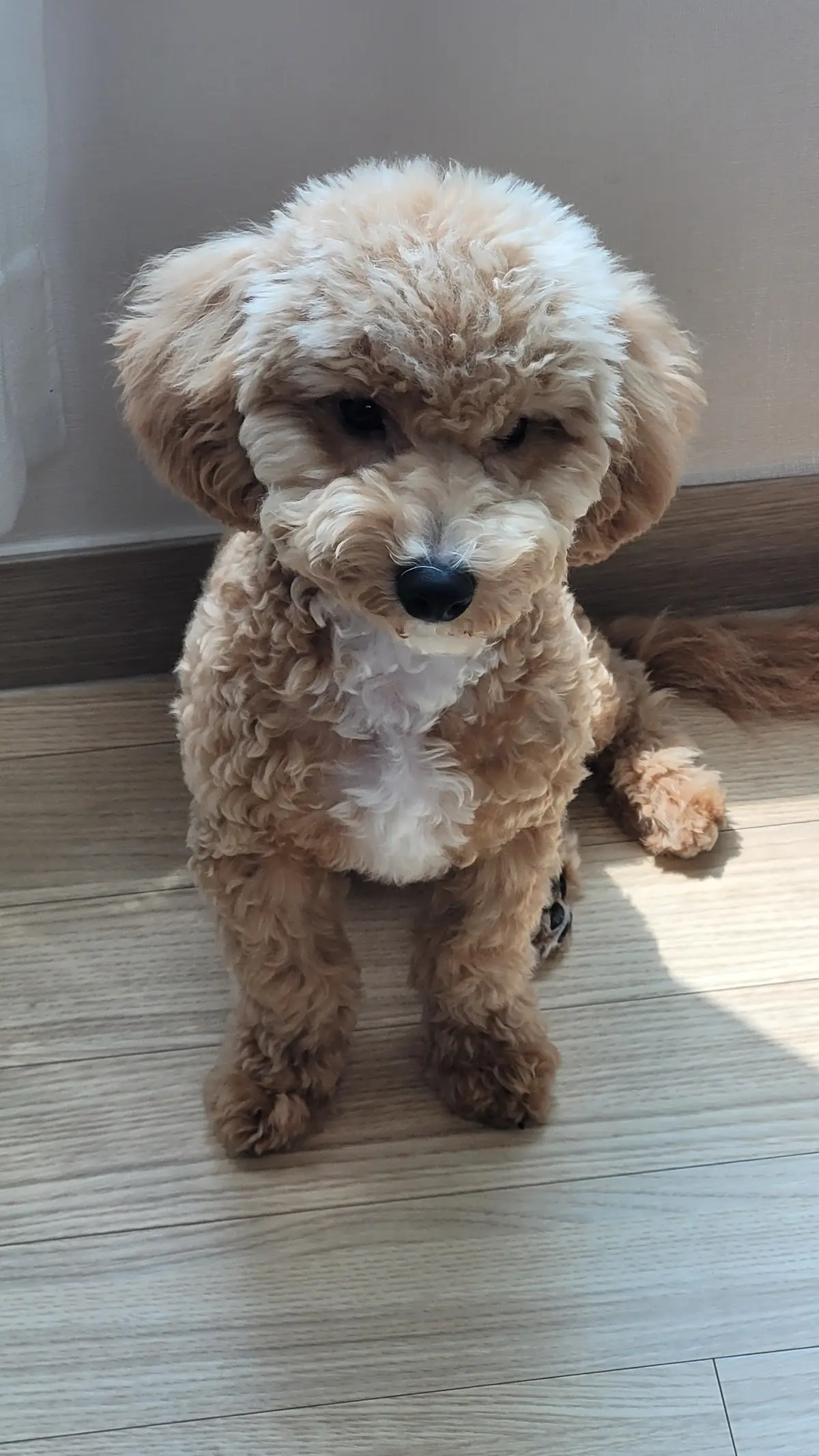 이미지 5