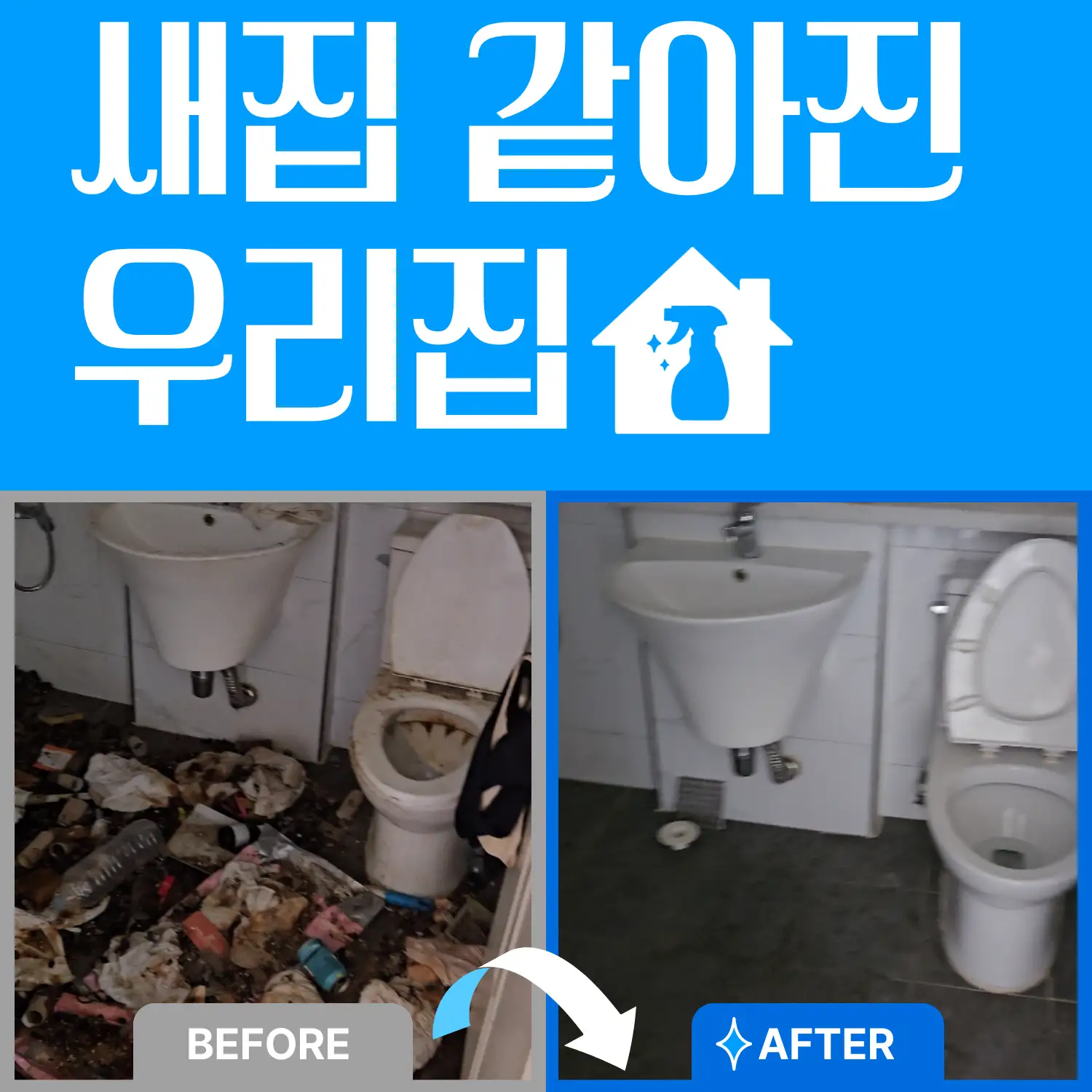 이미지 14