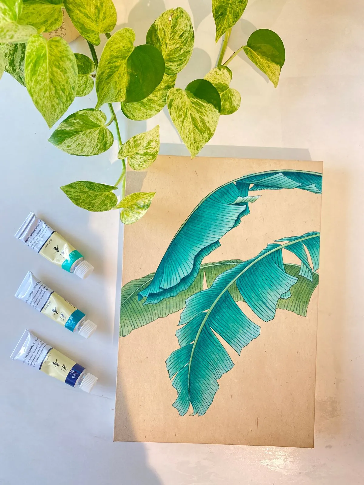 포트폴리오 이미지