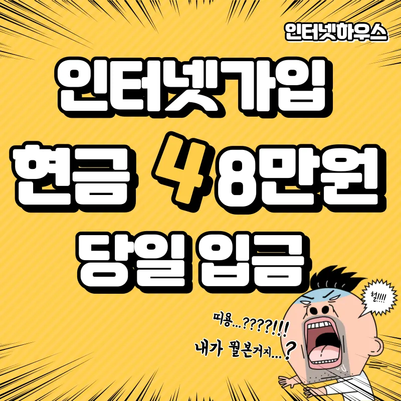 이미지 5