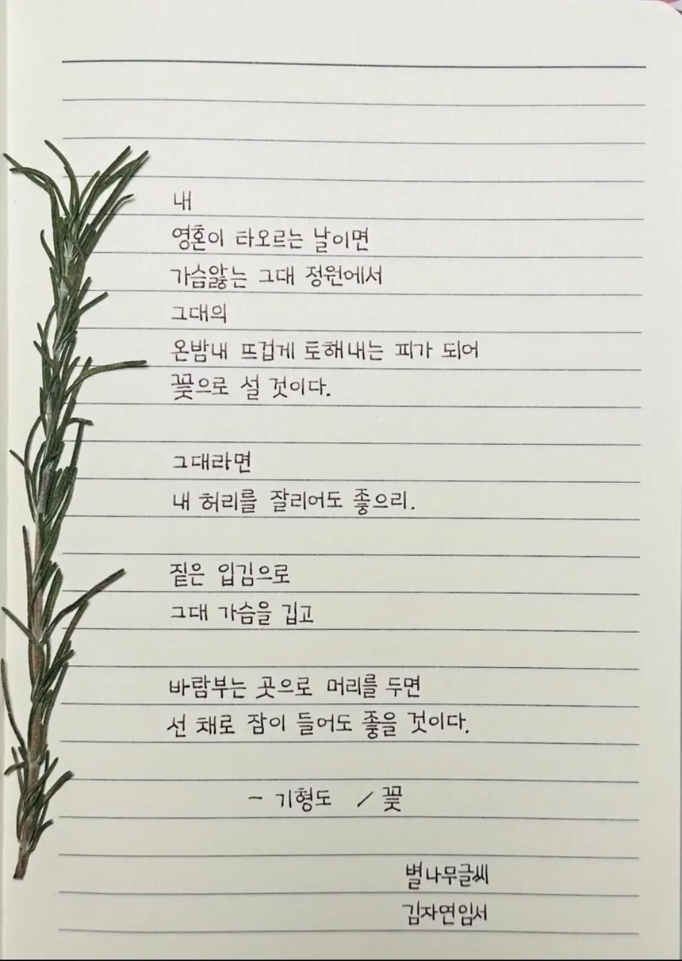 이미지 4