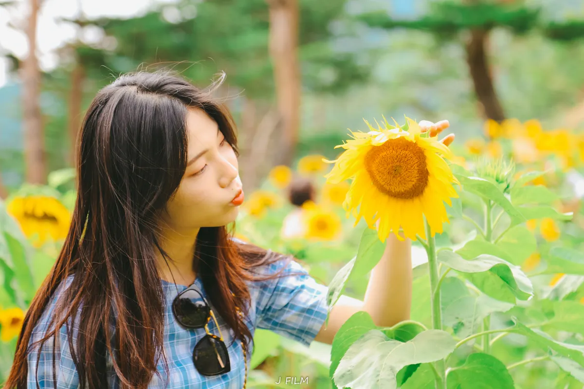이미지 8