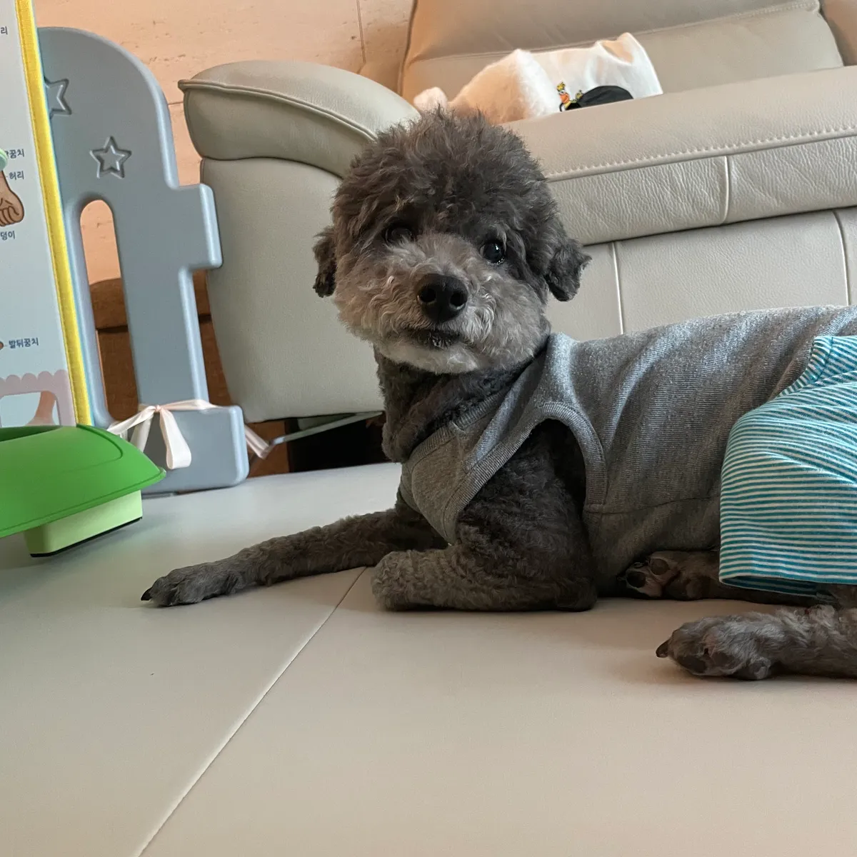 이미지 4