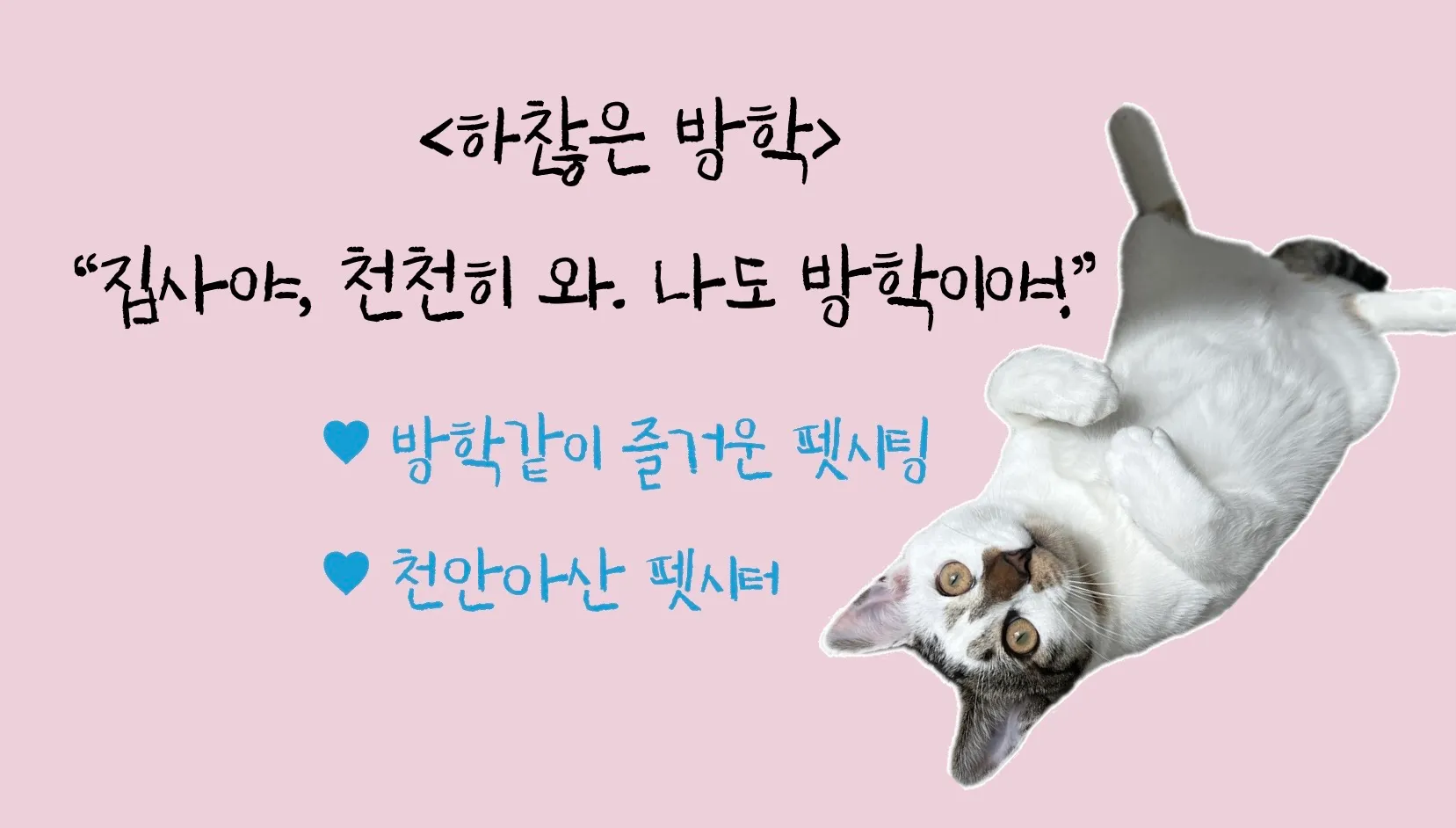 이미지 11