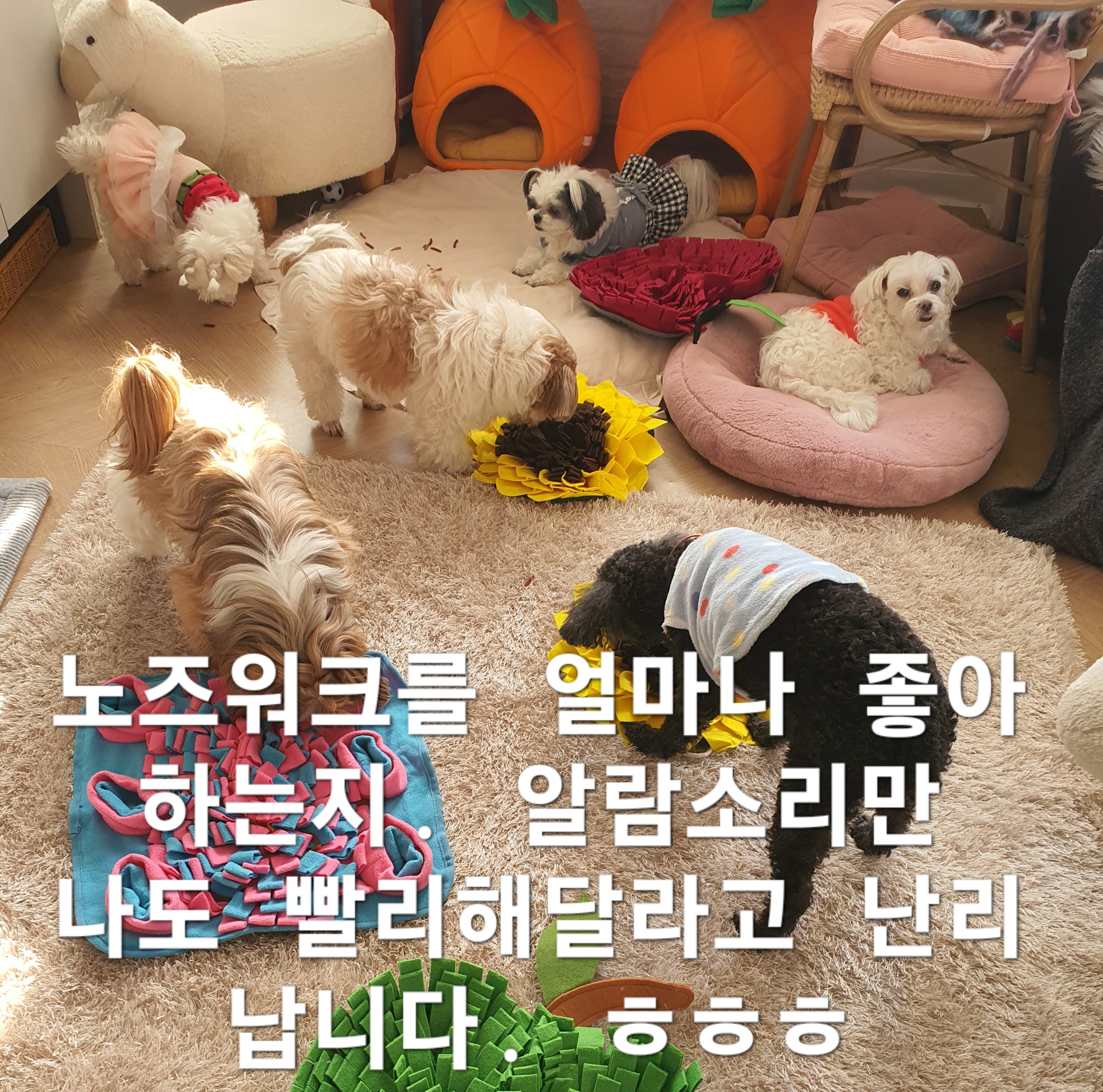 이미지 5