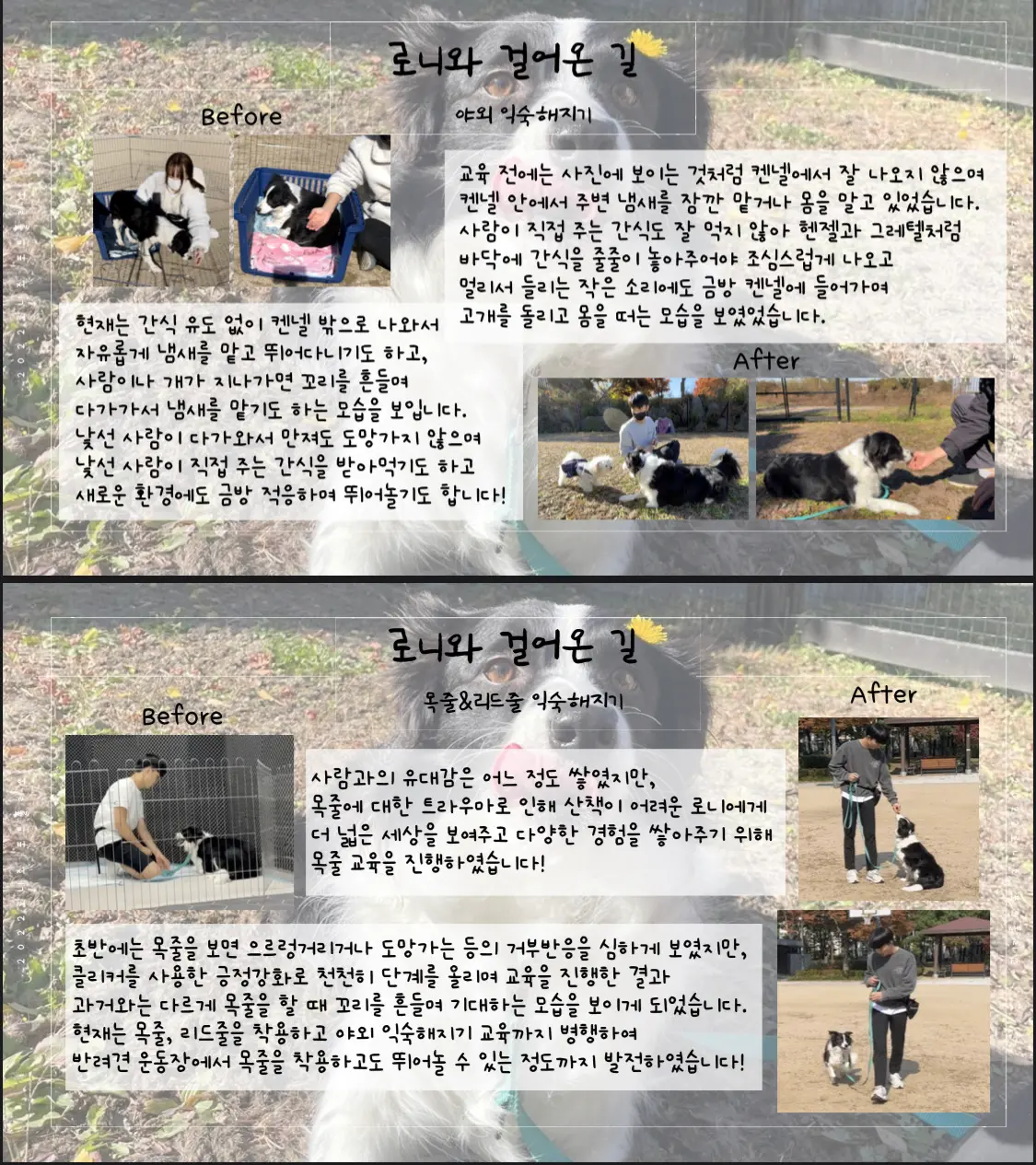 이미지 6
