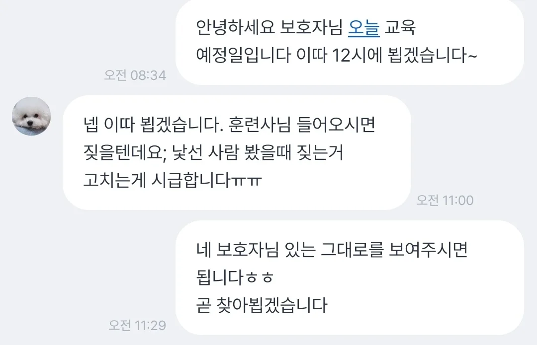 이미지 6