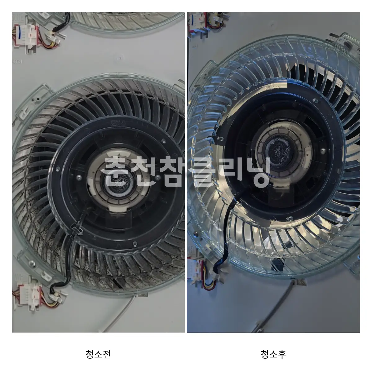 이미지 9