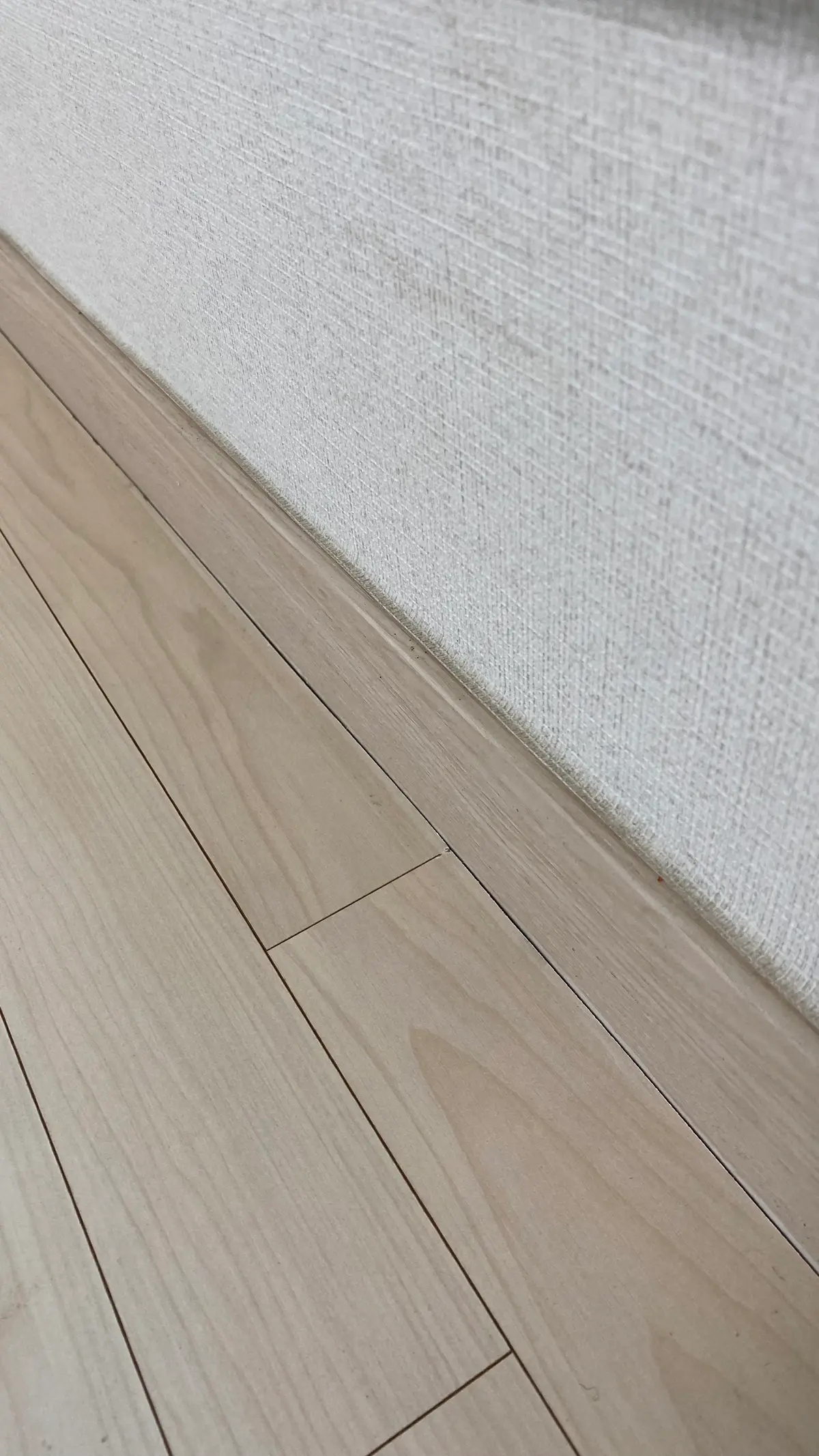 이미지 22