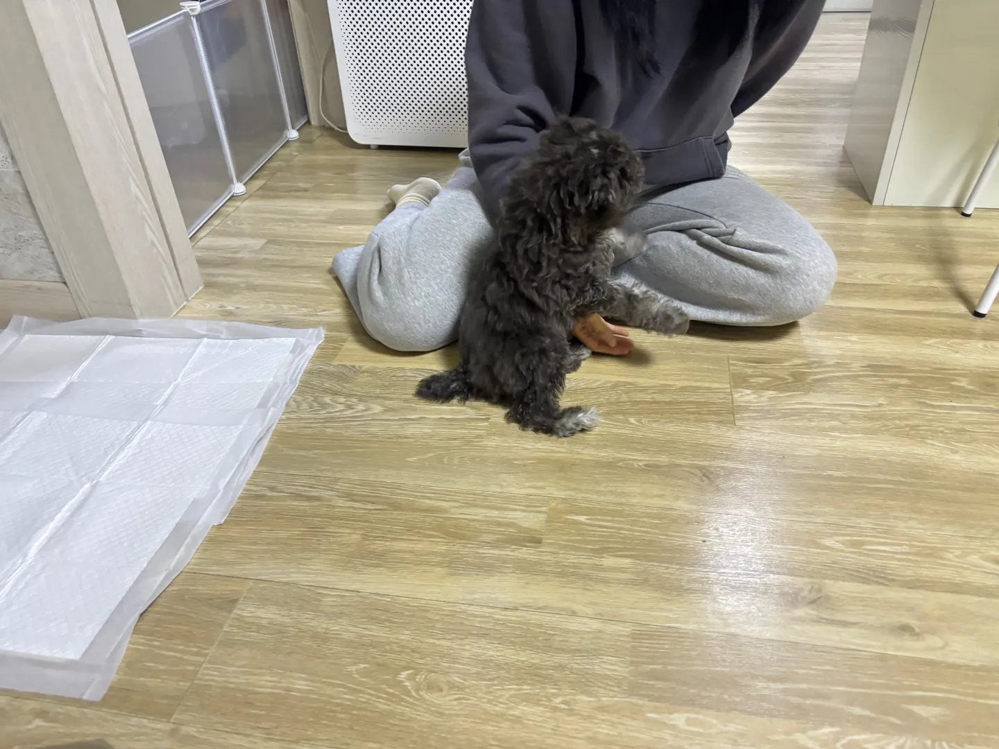 이미지 3