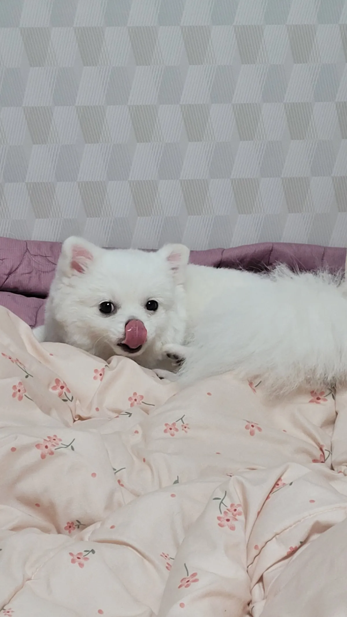 이미지 3