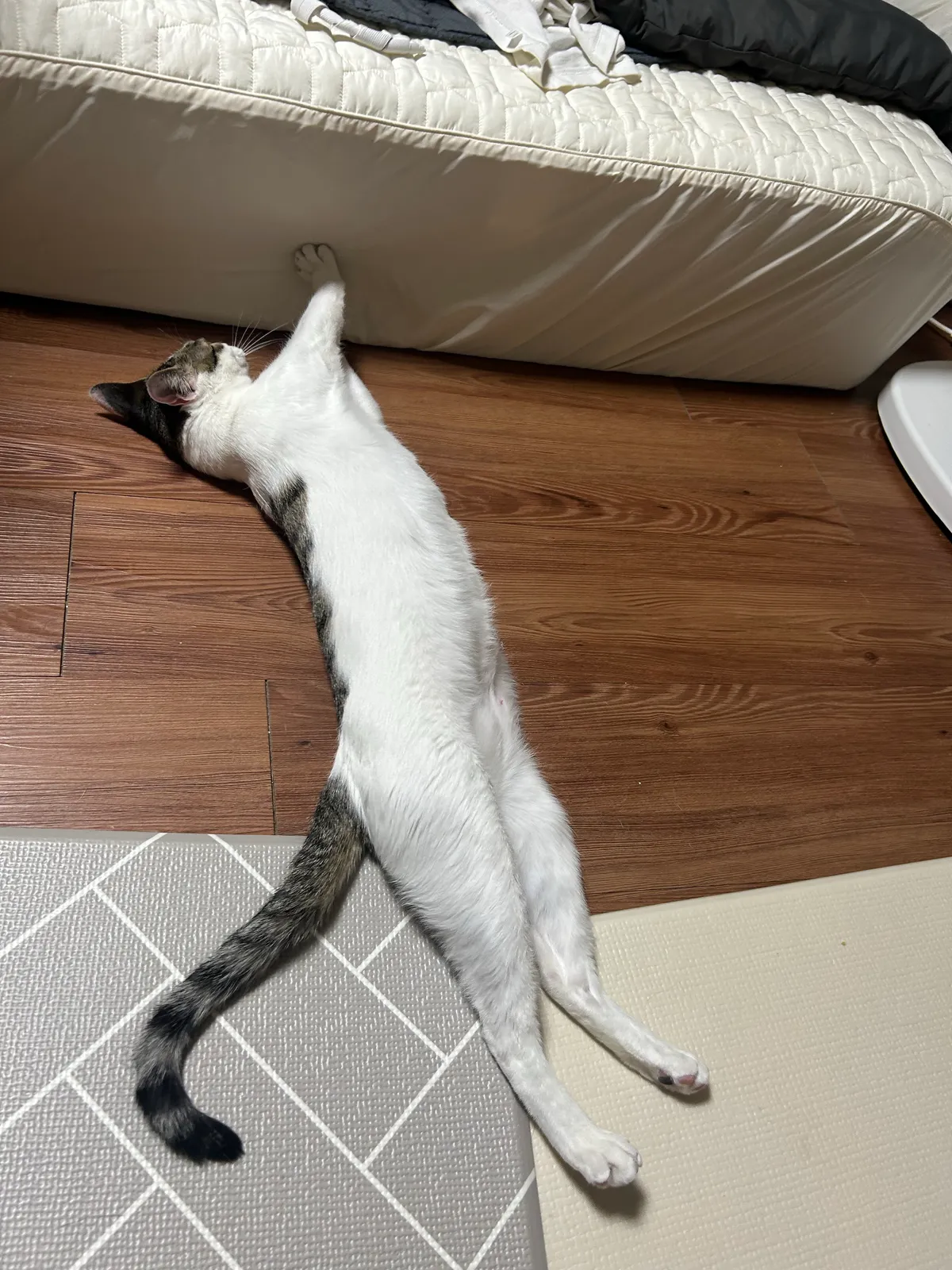이미지 24