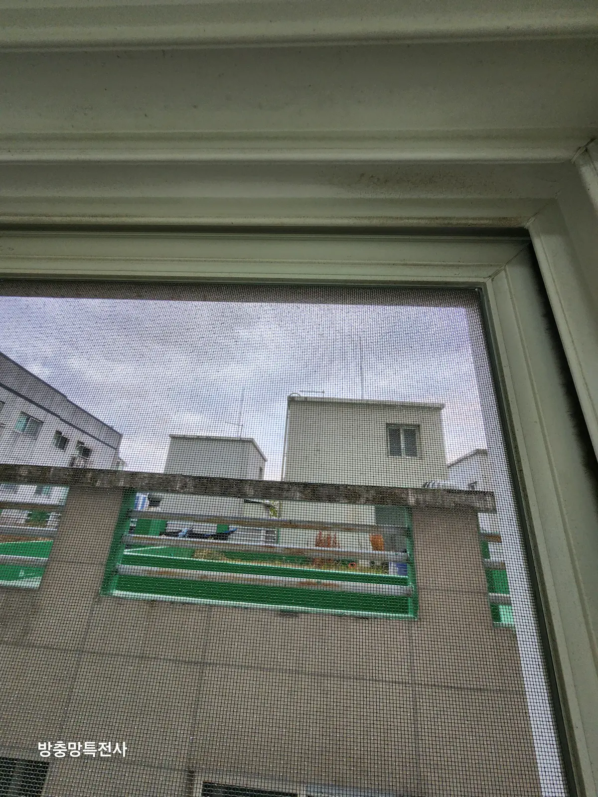 이미지 8