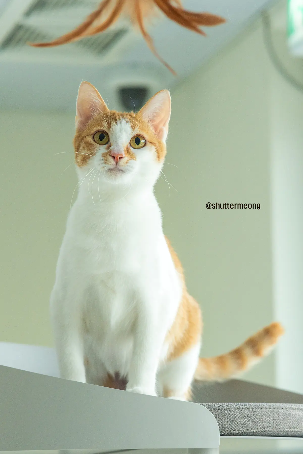 이미지 6