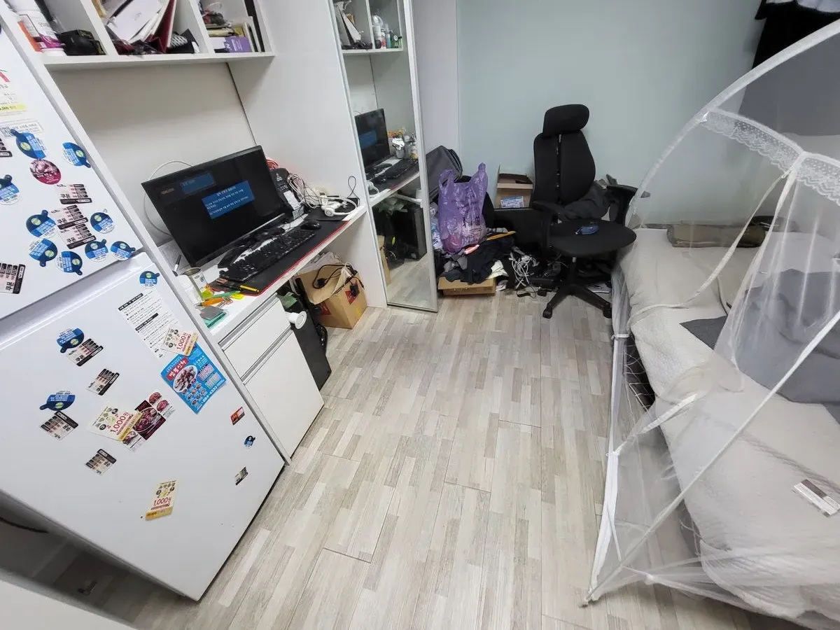 이미지 7