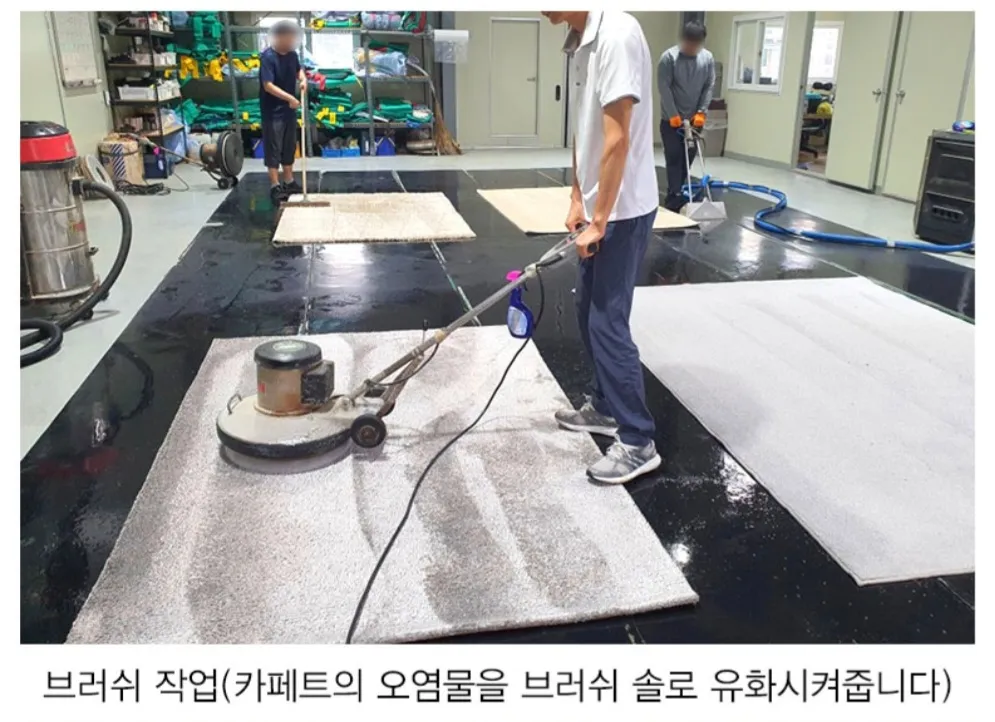이미지 8