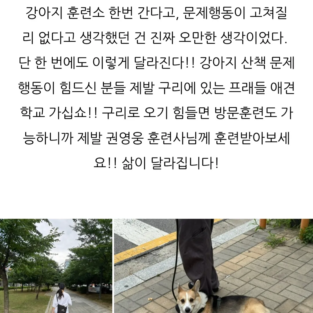 이미지 8