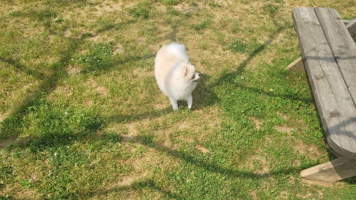 이미지 7