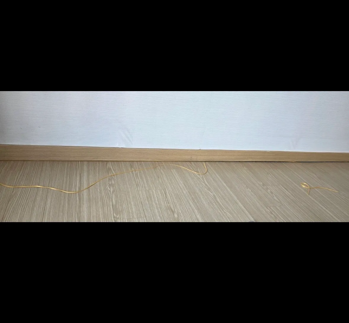 이미지 12