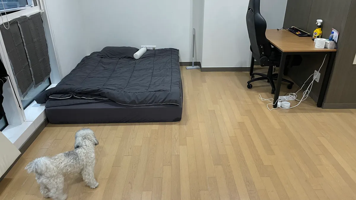 이미지 8
