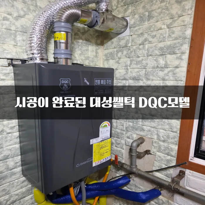 이미지 12