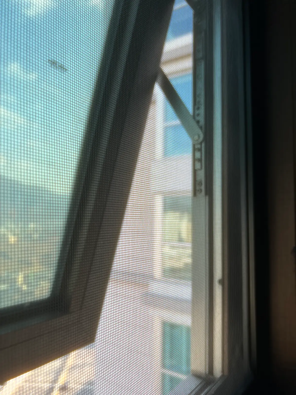 이미지 7