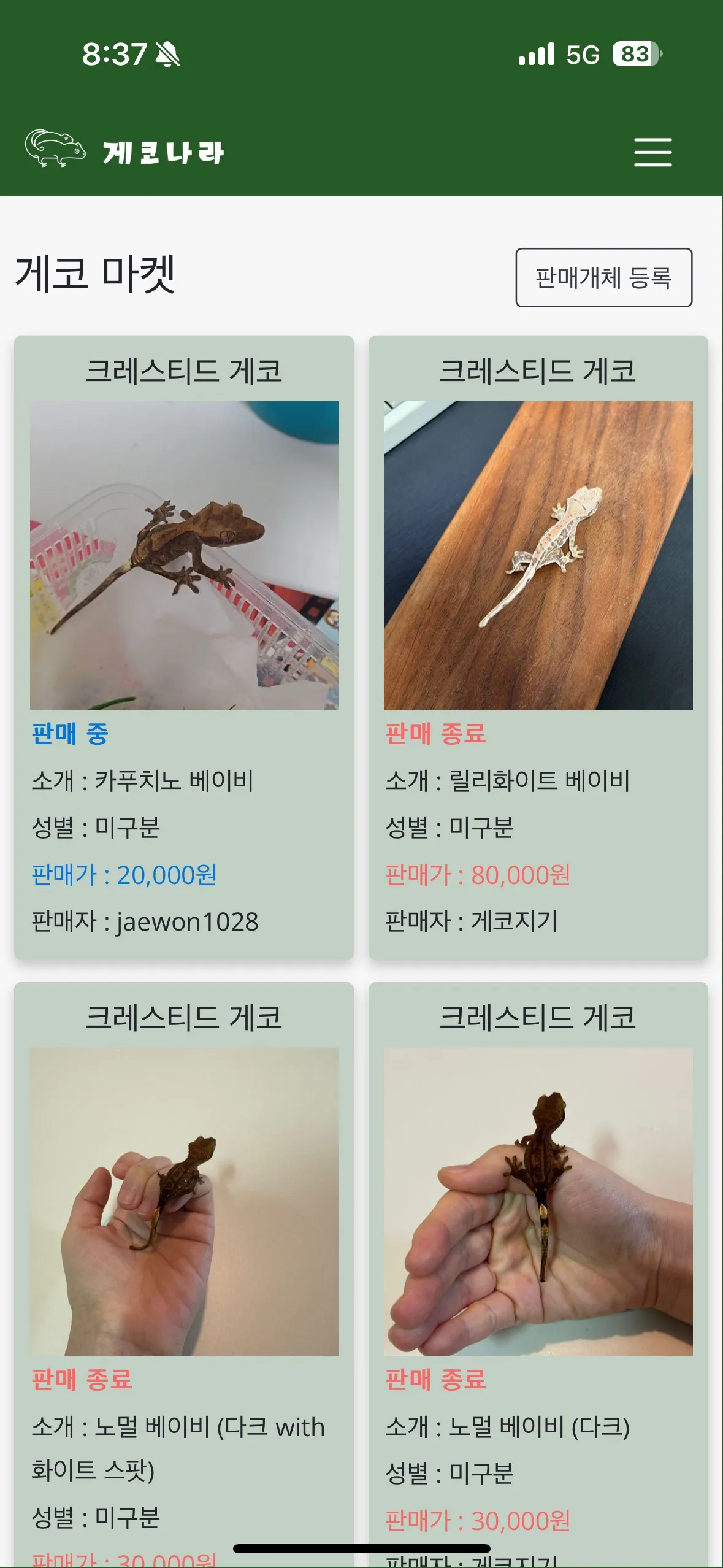 이미지 5