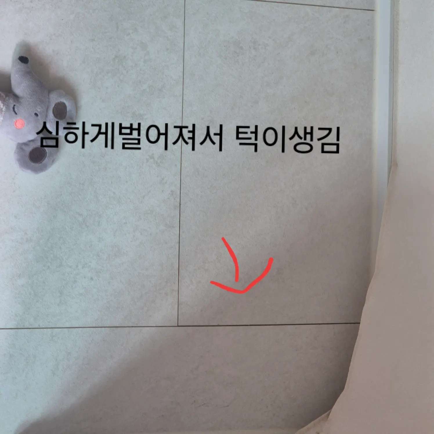 이미지 4