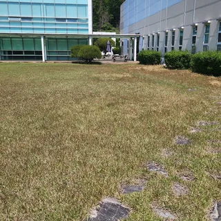 25년 05월 천안시 서북구 회사 잔디관리 작업