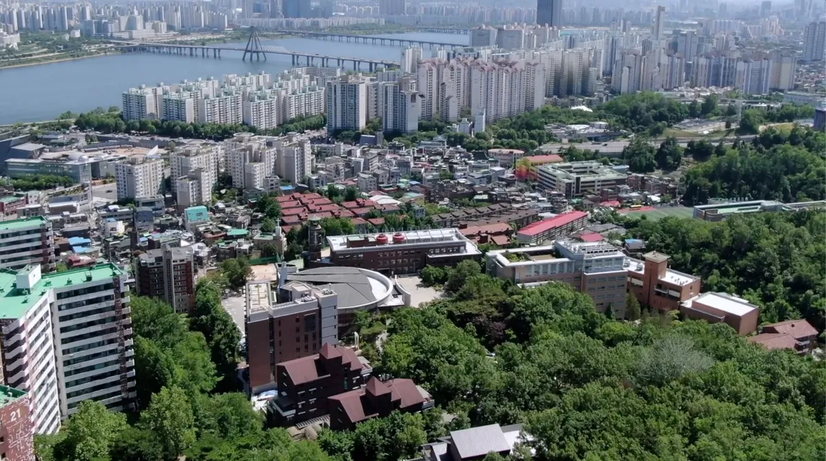 이미지 10