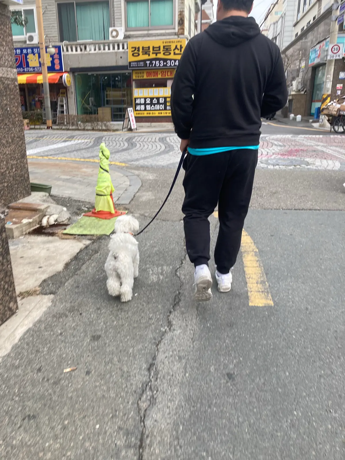 이미지 5
