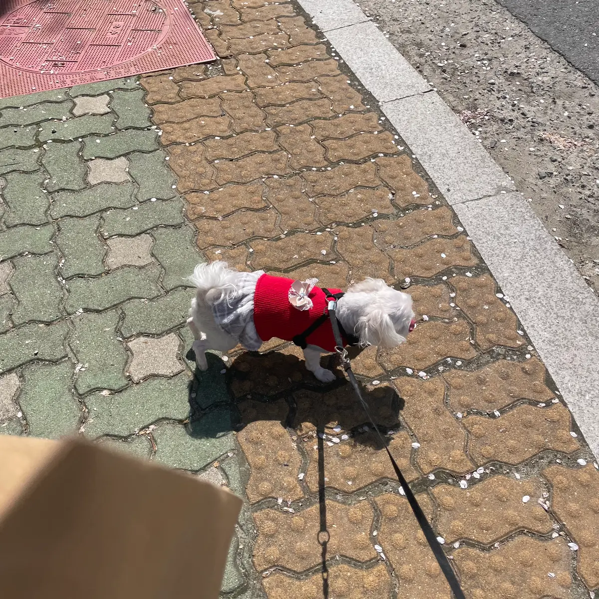 이미지 11
