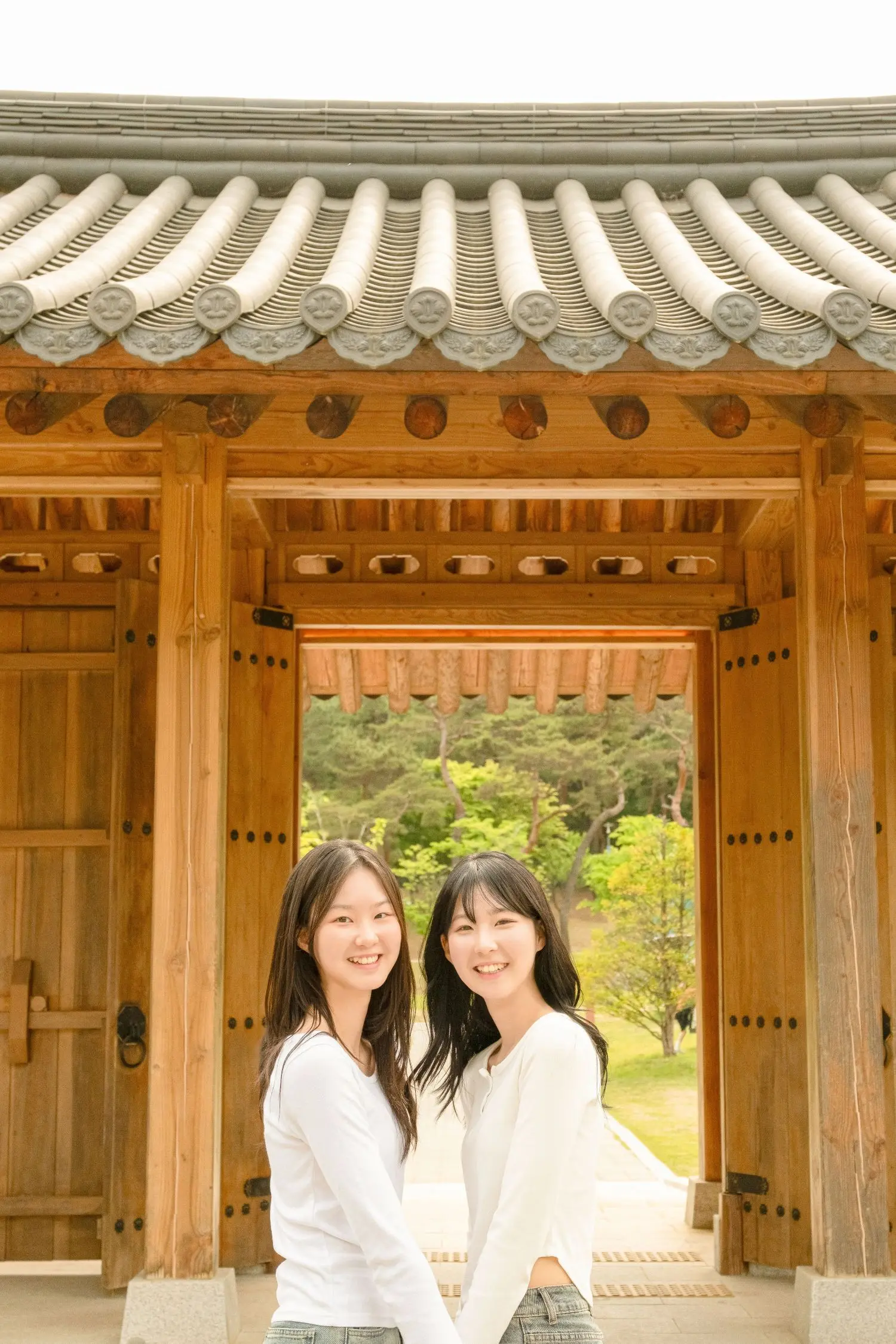 이미지 5