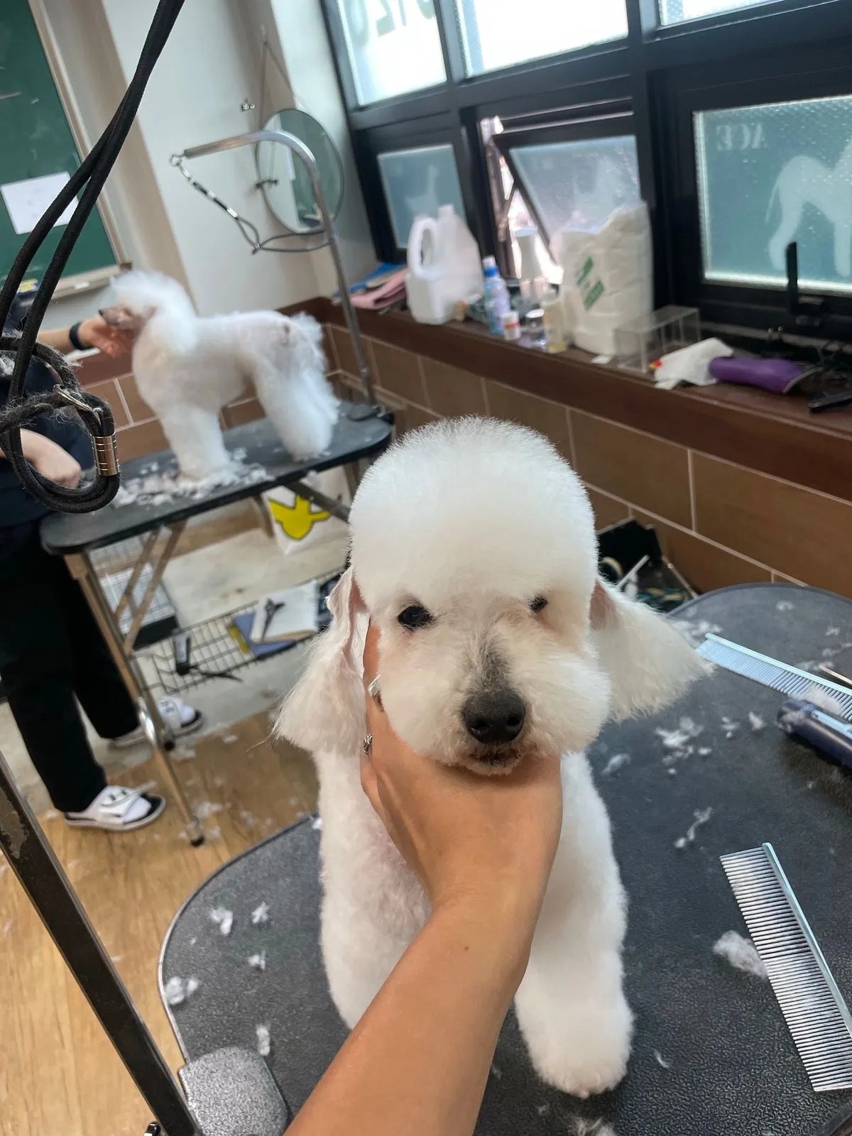 이미지 9