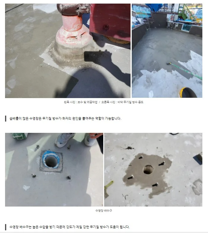 이미지 6