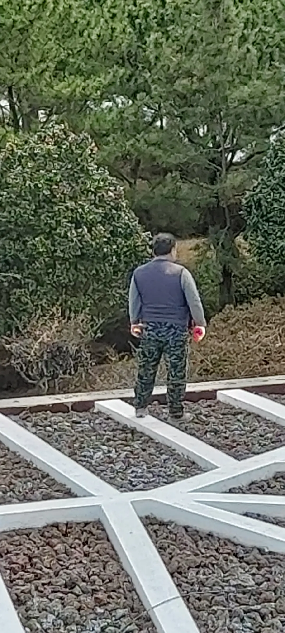 이미지 4
