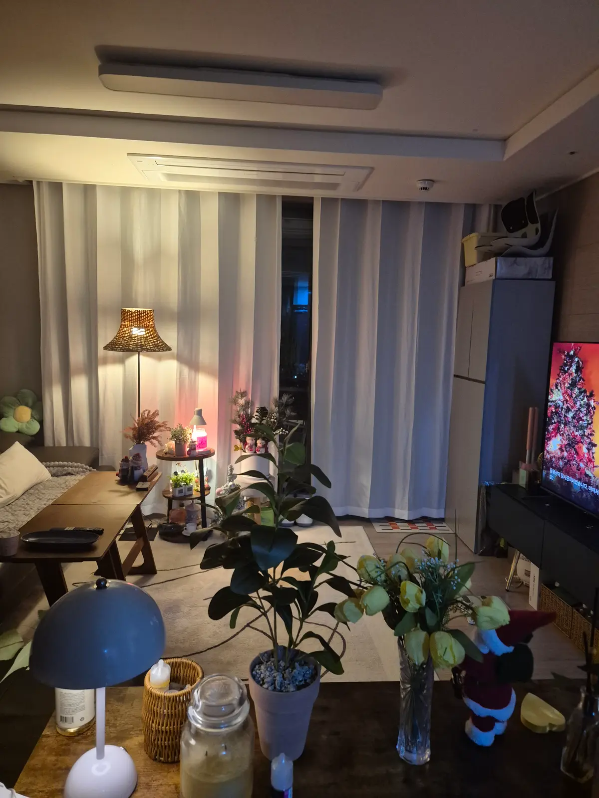 이미지 8