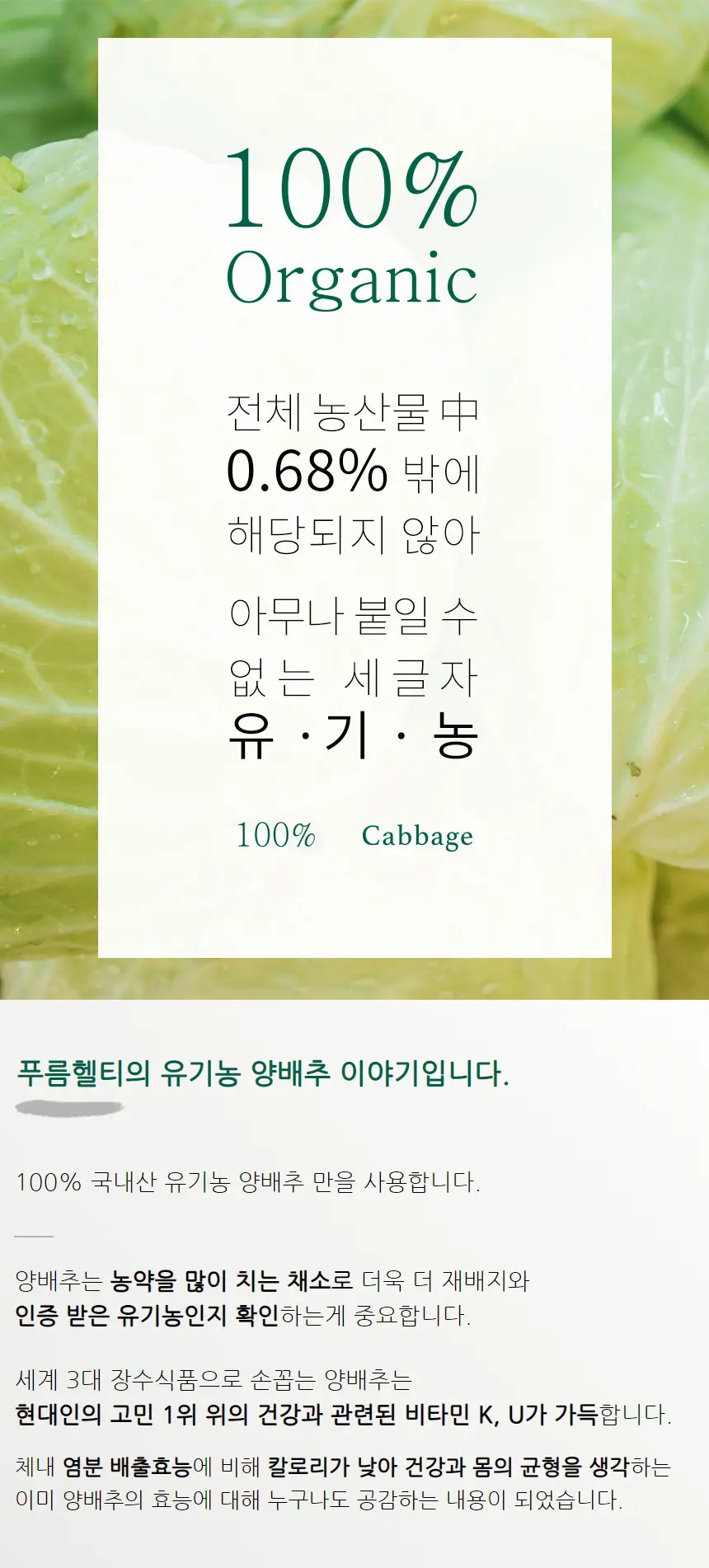 이미지 10